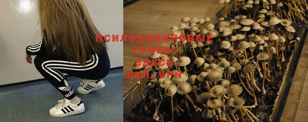 винт Алексин